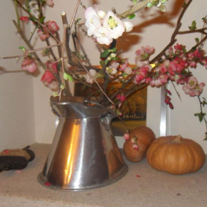 SDC17267
