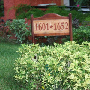 IMG 0723