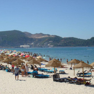 Troia