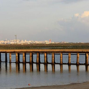 RIA FORMOSA & FARO 093