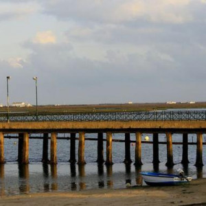 RIA FORMOSA & FARO 095