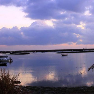RIA FORMOSA & FARO 198