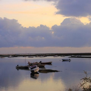 RIA FORMOSA & FARO 202