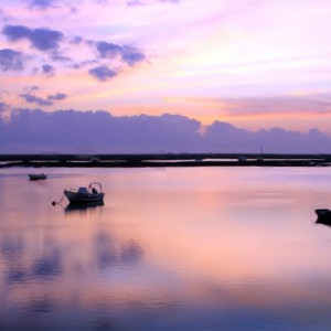 RIA FORMOSA & FARO 205