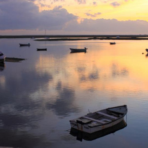 RIA FORMOSA & FARO 207