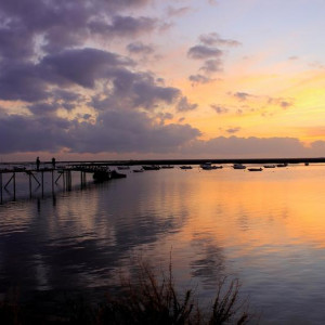 RIA FORMOSA & FARO 218
