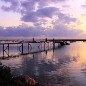RIA FORMOSA & FARO 221
