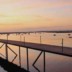 RIA FORMOSA & FARO 228
