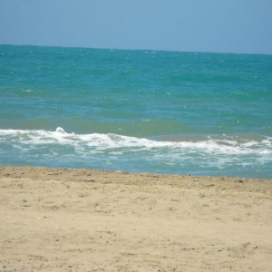 DSCF0325