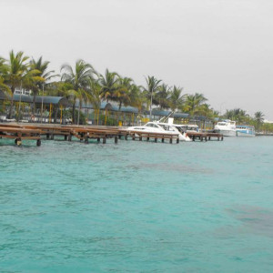 DSCF0071