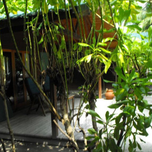 DSCF0089