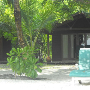 DSCF0206
