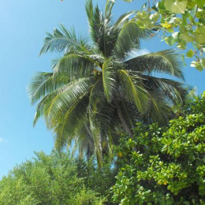 DSCF0368