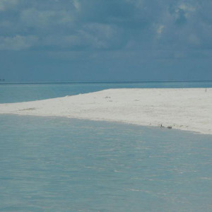 DSCF0557