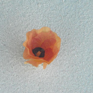 DSCF0582