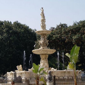 DSC5464