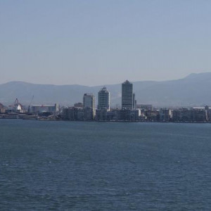 DSC5546