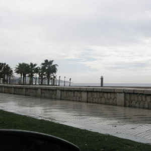 P4030901