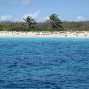 Ilha Catalina