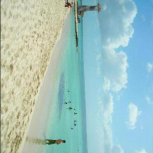 La romana
