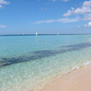 plage hacienda dominicus