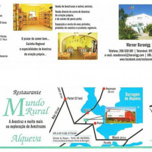 localização