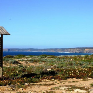Costa Vicentina