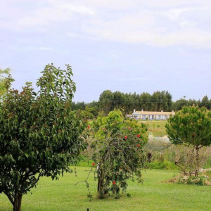 Cerro da Fontinha