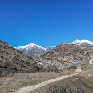 Arthurs-Pass-13-1300x731