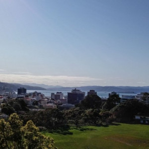 Wellington-6-1300x731 (1)