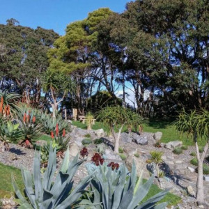 Wellington-7-1300x731