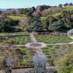 Wellington-8-1300x731 (1)
