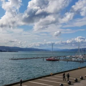 Wellington-10-1300x731