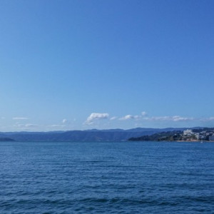 Wellington-11-1300x731 (1)