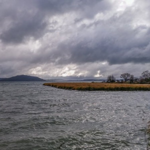 Rotorua-2