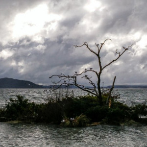 Rotorua-3