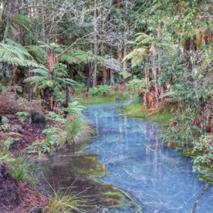 Rotorua-8