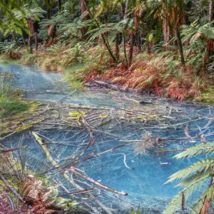Rotorua-9