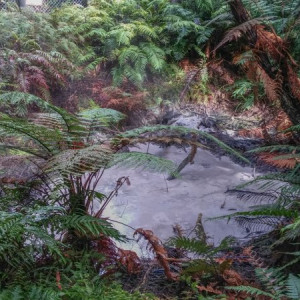 Rotorua-10
