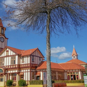 Rotorua-11