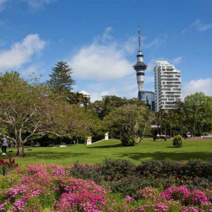 4 Alberts-Park
