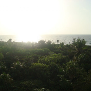 File0082