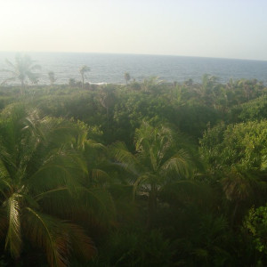 File0083