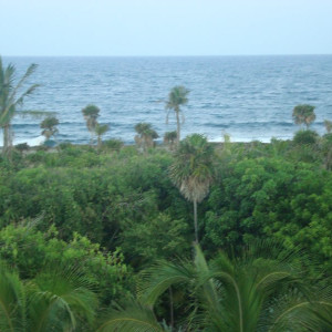 File0136