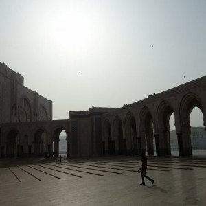 Casablanca 3
