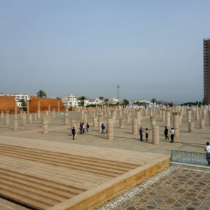 Rabat 14