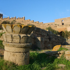 Rabat Chellah 16