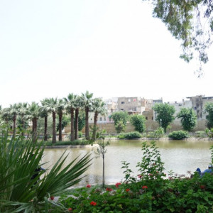 Fès 15