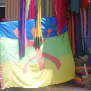 9 - Bandeira Berbere
