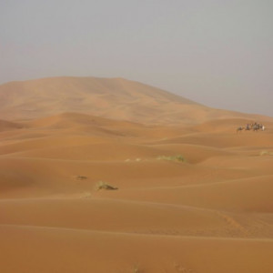 2 Deserto